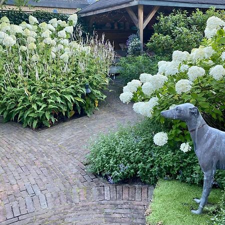 라런 Maison De Sas B&B 외부 사진