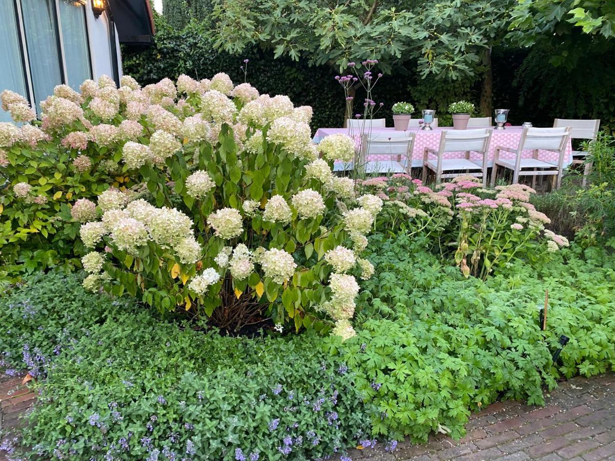 라런 Maison De Sas B&B 외부 사진